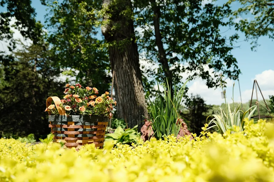 My Parents’ Place