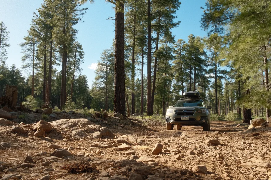Coconino National Forest, Arizona