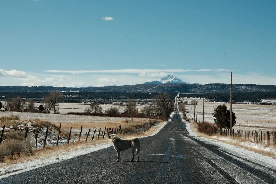 Norwood, Colorado